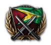 GFX_goal_generic_attack_guyana