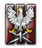 GFX_idea_POL_Intelligence_Service1