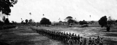 GFX_news_event_MAF_collapse