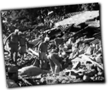 GFX_report_event_NFA_event_Aftermath