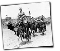 GFX_report_event_NFA_event_Camels1