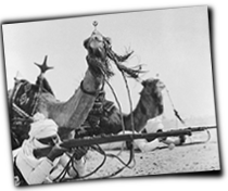 GFX_report_event_NFA_event_Camels2