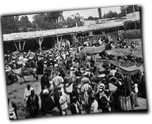 GFX_report_event_bread_market