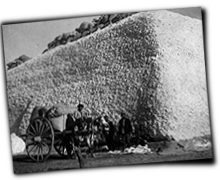 GFX_report_event_lots_of_cotton