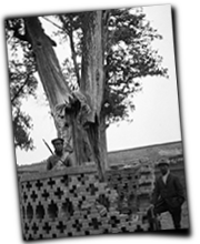 GFX_report_event_CHN_QIE_shaanxi_zhengsongjun_troops_2