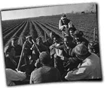 GFX_report_event_FNG_farmers