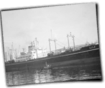 GFX_report_event_FNG_hiroshima_package