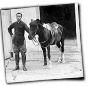 GFX_report_event_FNG_pong_the_horse