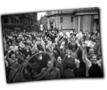 GFX_report_event_DEN_constitution_day