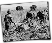 GFX_report_event_GER_colony_problems