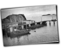 GFX_report_event_ICE_Harbour_2