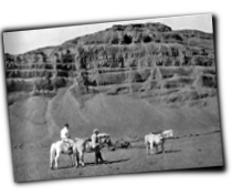 GFX_report_event_ICE_Horses