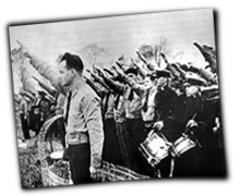 GFX_report_event_IRE_blueshirt_salute