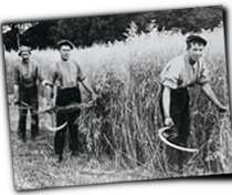 GFX_report_event_IRE_farmers