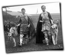 GFX_report_event_IRE_tailteann