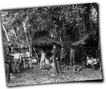 GFX_report_event_HOL_fate_of_the_colonies