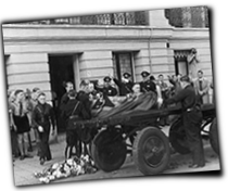 GFX_report_event_HOL_natpop_funeral