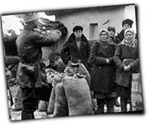 GFX_report_event_RUS_farm1