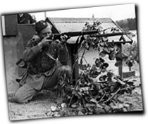 GFX_report_event_SWE_Swedish_military