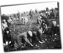 GFX_report_event_UKR_farming