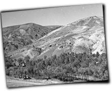 GFX_report_event_HND_ahmedabad