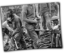 GFX_report_event_NEP_smuggling