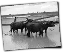 GFX_report_event_RAJ_farmers