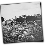 GFX_report_event_DOM_europeans