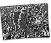 GFX_report_event_GUA_ubico_travels