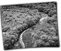 GFX_report_event_BRA_amazon