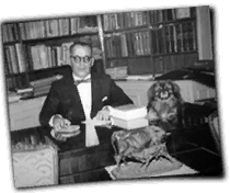 GFX_report_event_BRA_magma