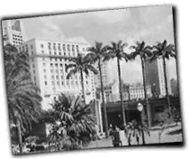 GFX_report_event_BRA_saopaulo