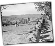 GFX_report_event_AST_volunteers