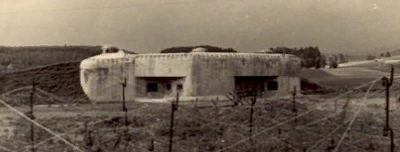 GFX_czke_fortification_news