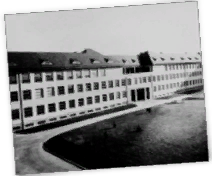 GFX_CZKE_masaryk_hospital_report