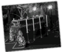 GFX_CZKE_tgm_funeral_report