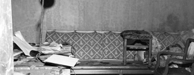 GFX_news_event_GER_hitler_couch