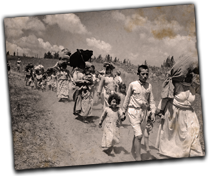GFX_report_event_isr_nakba