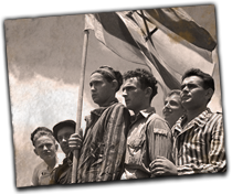 GFX_report_event_isr_ad_halom