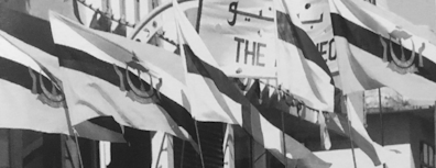 GFX_report_news_event_bruneian_flags