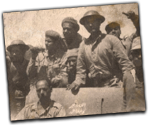 GFX_report_event_MPL_muslim_brotherhood