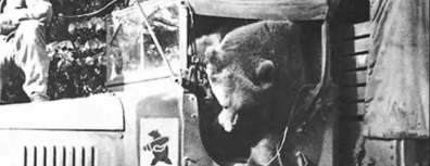 GFX_news_event_POL_wojtek