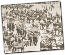 GFX_report_event_Don_army