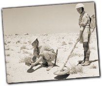 GFX_report_event_polish_mine_detector