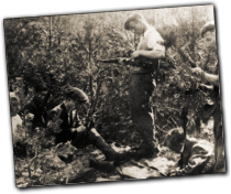 GFX_report_event_polish_partisans