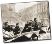GFX_report_event_polish_partisans2
