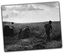 GFX_report_event_goodharvest