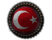GFX_decision_category_TUR_fascist_category